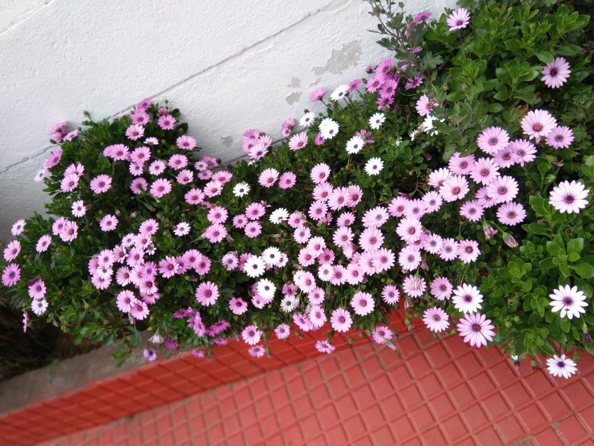 Ganapathy Garden Homestay Kodaikanal Exterior photo